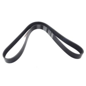 8PK1250 Fan Belt 29126 online