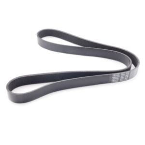 8PK1420 Fan Belt 26079 online