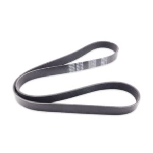 8PK1590 Fan Belt 26048 online