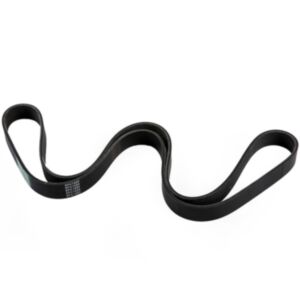 8PK1689 Fan Belt online