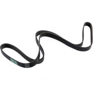 8PK2175 Fan Belt (Standard) 11678 online
