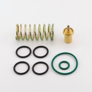 BUY Air Compressor Chicago Pneumatic Service kit Thermostatic Valve Kit 2205490591 for Atlas Copco for sale