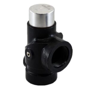 BUY Air Compressor Parts MPV Compatible 02250097-598 Minimum Pressure Valve Check Valve for Sullair for sale