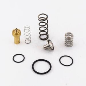 BUY Air Compressor Thermostatic Minimum Pressure Valve Repair Kit 2901109500 for Atlas Copco for sale