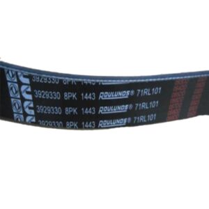 BUY Belt 3911568 3929330 C3288790 (8PK/1443) for Cummins Engine 4BT 6BT 6CT 6LTA for sale