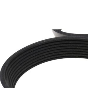 Buy Belt 3911568 3929330 C3288790 (8PK/1443) for Cummins Engine 4BT 6BT 6CT 6LTA