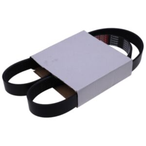 Buy Belt 8pk1443 for Cummins 4BT 6BT 6CT 6LTA Engine