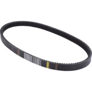 Clutch Drive Belt M174026 M150046 for Yanmar Engine 3TNV70 John Deere Gator Utility Vehicle TH 6X4 TS 4X2 TX Turf TX4X2 online