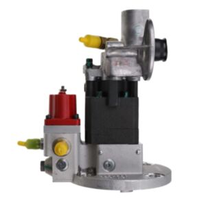 Common Rail Pump 3090942 3417677 for Cummins Diesel Engine M11 QSM11 ISM11 online