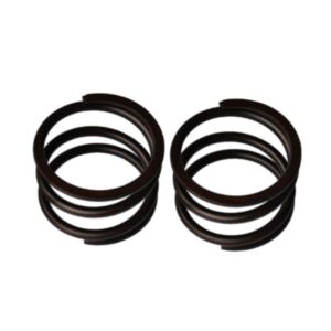 2 PCS Compression Spring 0732041183 for ZF Transmission Gearbox 4WG180 4WG200 online