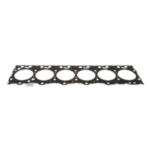 Cylinder Head Gasket 2830704 for CASE Tractors  MAGNUM 180 MXU125 online