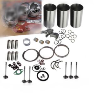 D1402 Overhaul Rebuild Kit For Kubota Engine Kubota L2550D L2650D Tractor online