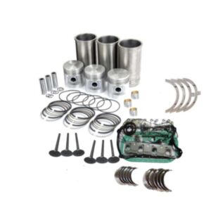 BUY Engine D650 Overhaul Rebuild Kit for Kubota Utility Tractor B6001 B6100 B6100HST for sale