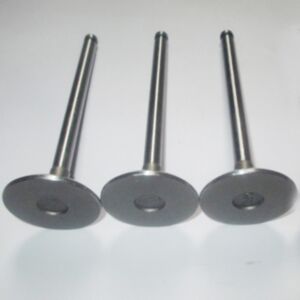 BUY For Yanmar Engine 3TNE88 Komatsu Engine 3D88 Intake Valve 3 Units 1 Set YM129100-11100 for sale