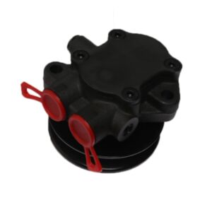 BUY Fuel Pump 4294711 4290599 4290499 4294708 for Deutz BFM2012 TCD 6L 2013 TCD 4L 2012 TCD 6L 2012 Engine for sale