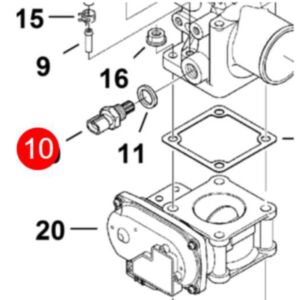 Buy Manifold Intake Temperature Sensor 7024400 for Bobcat