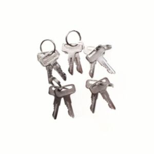 New 5 Pairs/Lot Ignition Key 9901 for JLG Electric Scissor Lift 2860030 9901 online