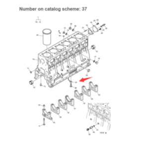 BUY Oil Spray Nozzle Ass'y 65.01601-6003C 6501601-6003C 65-01601-6003C for Doosan DL250A DL300A DX300LCA SD300E SOLAR 300LC-7A SOLAR 300LC-V SOLAR 300LL for sale