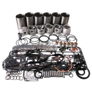 Overahul Rebuild Kit for Deutz Engine TCD914L06 online