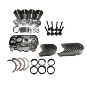 BUY Original Overhaul Rebuild Kit for Caterpillar CAT C1.1 Engine for sale