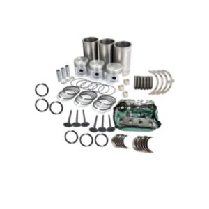 BUY Overhaul Rebuild Kit for Isuzu 3LB1 Engine Daewoo Solar 03 05 Excavators Repair for sale