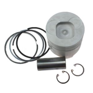 Piston Assy 11-5900 115900 for Thermo King SMX SB online