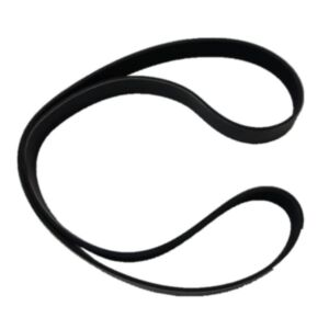 Ribbed Belt 3911584 for Cummins 4B 4BT 6B 6BT Engine online
