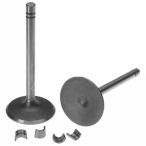BUY Set of 2 Valve Intake 1007860 for Caterpillar CAT Engine 3304 3306 Excavator 235B 330 350 W330B in USA for sale