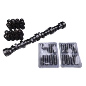 Sloppy Stage 2 Cam Camshaft Lifters Spring Kit E1840P for Chevy LS LS1 .585&quot; online