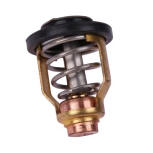 Thermostat 17670-90J01 for Suzuki Outboard DF90 DF100 DF115 DF140 DF200 DF225 DF250 DF300 4 Stroke 60