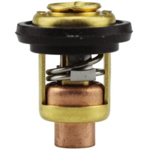 Thermostat 6E5-12411-30-00 for Yamaha Outboard 115 150 200 225 250 online