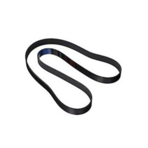 V-Belt 3973181 for Cummins Engine ISB ISC QSC QSB 6CTA online