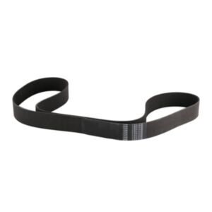 V-Ribbed Belt 12PK1860 51.96820.0196 for Man El 202 222 Nl 202 Nu 263 Hocl 12.220 18.220 online
