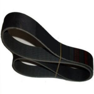 BUY V Ribbed Belt 3289135 for Cummins B Series for sale