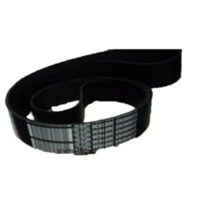 BUY V Ribbed Belt 3681636 for Cummins QSX15 ISX15 Engine for sale