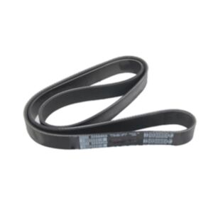 V Ribbed Belt 4941303 for Cummins Engine 6B 6BT 6B5.9 6BTA5.9 online