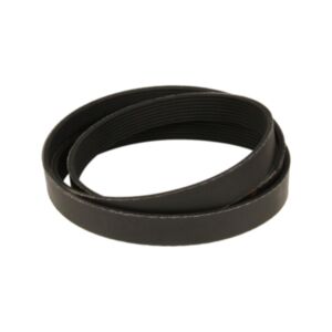 V Ribbed Belt 8PK1790 5255304 for Cummins Engine C8.3 4B3.9 6A3.4 6B5.9 B GAS online