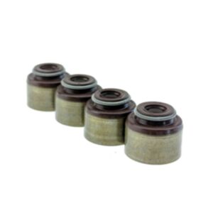 BUY Valve Seal Set of 4 270Q-01200 for Joyner 650cc Engine for sale