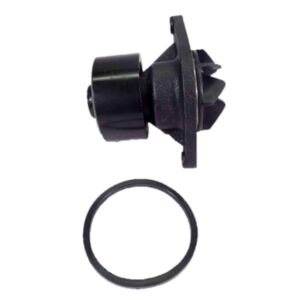 BUY Water Pump 4891252 for Cummins Engine QSB5.9-44 ISBe4 ISD6.7 QSB6.7 QSB3.9-30 in USA for sale