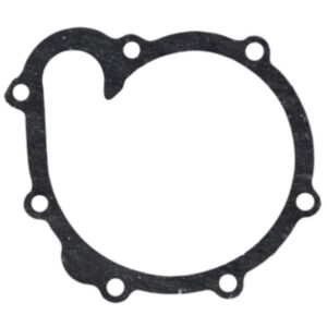 Water Pump Gasket 04198968 for Deutz Engine BFM1013 TCD2013 online