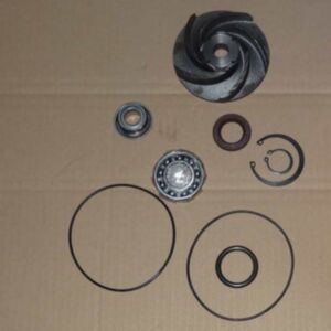 BUY Water Pump Repair Kit 4955802 for Cummins M11 Engine for sale