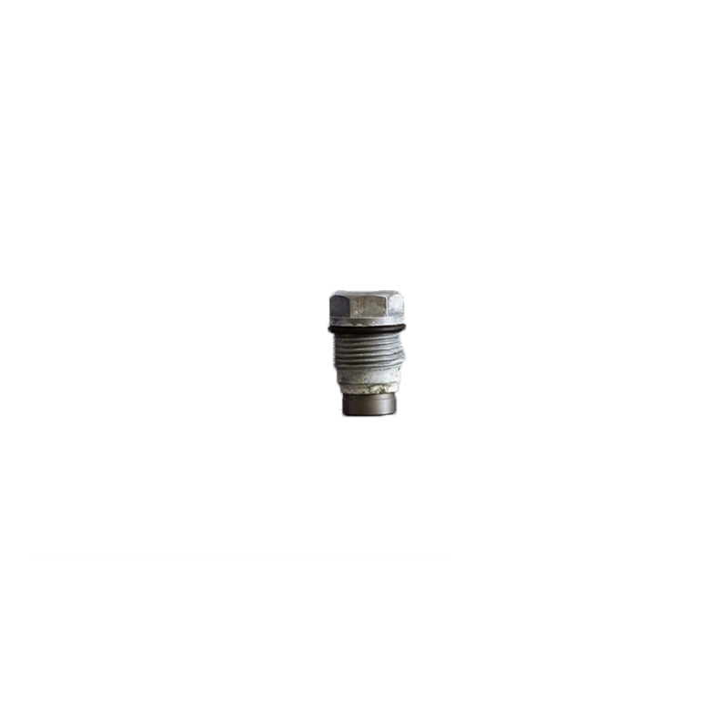 Perfect for Bosch - Original Common Rail Pressure Relief Valve Pressure Limting Valve 1110010016